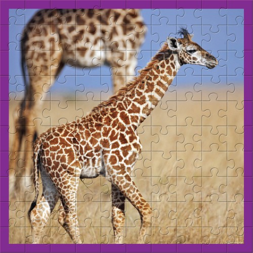 WWF 100 pc puzzle - Giraffes - Puzzles